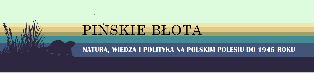 Pińskie błota. Natura, wiedza i polityka na polskim Polesiu do 1945 roku